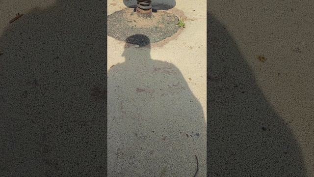 Чёткая тень почти в полдень)! смотреть онлайн