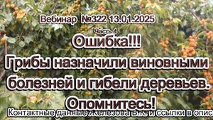 Железов Валерий. Вебинар 322. ч.4.  Ошибка!!! Грибы назначили виновными болезней и гибели деревьев.