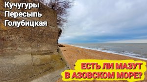 Азовское море, есть ли мазут? 14.01.2025. Вбросы, фейки, показуха! #Голубицкая #Кучугуры