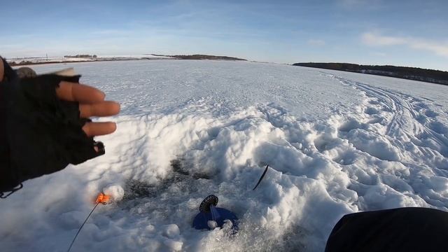 ОСТАВИЛ ЖЕРЛИЦЫ НА НОЧЬ И ВОТ ЧТО ИЗ ЭТОГО ВЫШЛО. смотреть онлайн