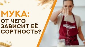 Этого ты не знал о муке. Сортность муки и какая мука считается сильной