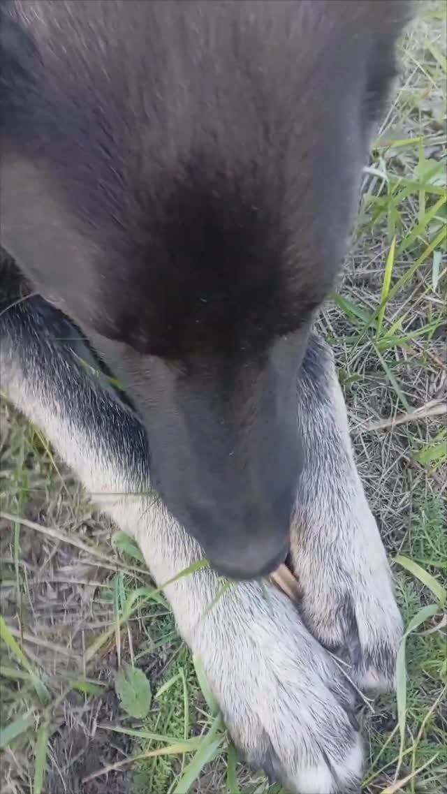 хримхрум смотреть онлайн