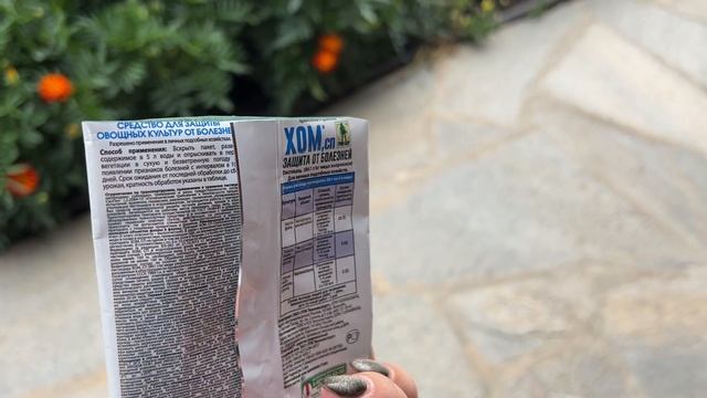 Как я колдовала с веником, а муж красил кровать. Казус на огороде