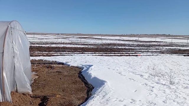 Клубничное поле. Подготовка к началу сезона. Балаганы, бугры.