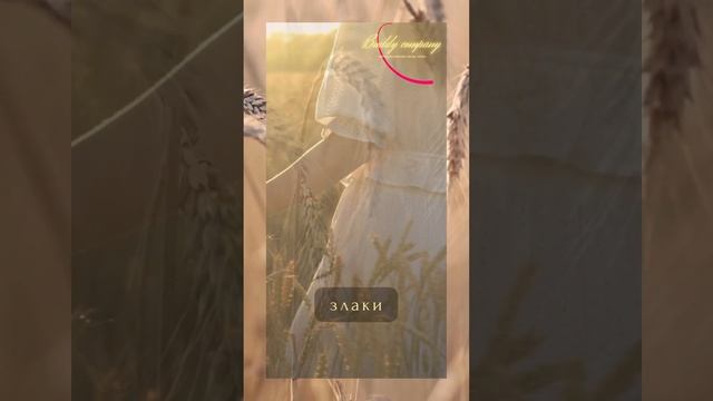 Ранчо. Каким должен быть ландшафтный дизайн?