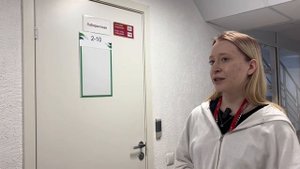 Сюжет про информатиков