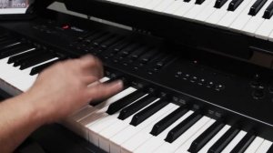 Sergey Vecherny  - Return to Shambhala