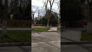 обзор санаториев Анапы