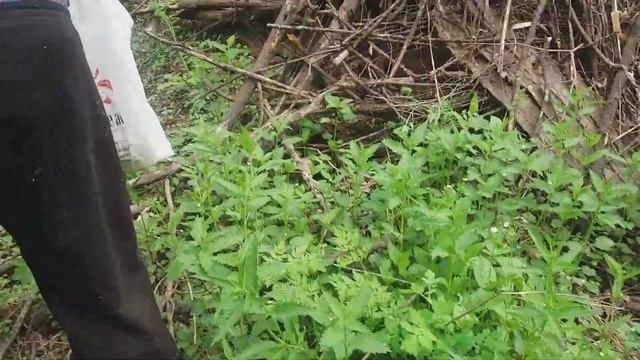 Село яконовка