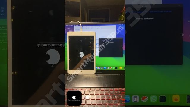 🔓 Разблокировка и обход iCloud-блокировки (без SIM) на iPad Mini 1st 16GB White 🔓