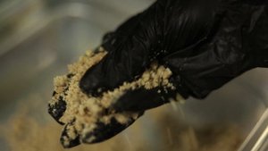 Измельчение миндаля на мясорубке МИМ-600