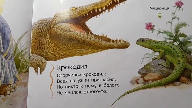 КНИГИ ПРО ЖИВОТНЫХ!ВСЕ САМОЕ ИНТЕРЕСНОЕ!🐊🦏🐘🦖🦈🦌🐅🦡🐗🦘🦅🐋🐬 смотреть онлайн