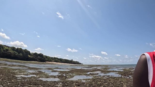 ЧЕМ ЗАНИМАЛИСЬ РЕБЯТА ЦЕЛЫМИ ДНЯМИ В КЕНИИ  МТВАПА