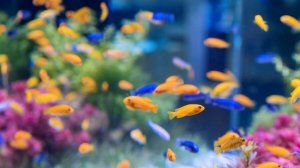 Живая вода структурированная вода своими руками