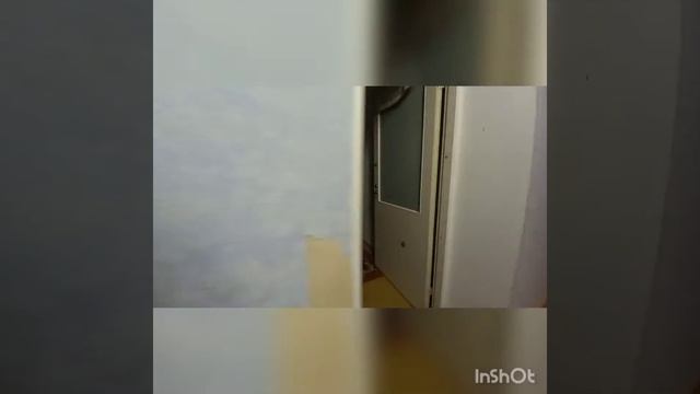 Красная деревня, 3 ком , 92 кв.м смотреть онлайн