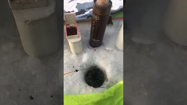Зимняя рыбалка в палатке.Январь 2025.