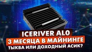 ICERIVER AL0 | 3 МЕСЯЦА В МАЙНИНГЕ | ТЫКВА ИЛИ ДОХОДНЫЙ АСИК???