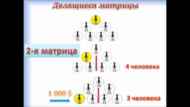 В чем разница НЕделящиеся и делящиеся матрицы ! смотреть онлайн