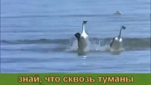 Как-то получилось