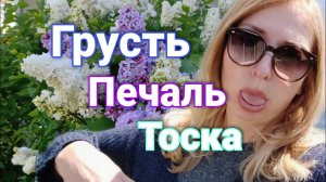 Грустный День Рождения.