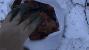 В лес за чагой. Походная ножовка Зубр Эксперт. Испытание в зимнем лесу.