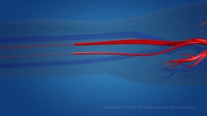 Большой круг кровообращения