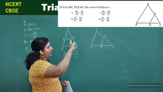 Mcq's on Triangles Class 10 Mathematics