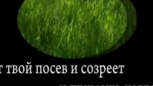 Что сеял ты,друг мой