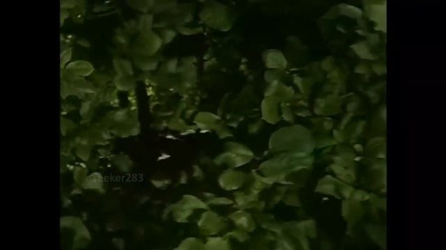 Monica Bellucci | Моника Беллуччи - Paradise смотреть онлайн