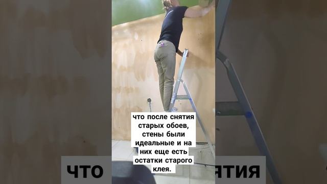 Грунтовка под обои, нужна или нет? #ремонт #поклейкаобоев #обои #грунтовка #грунтовкастен