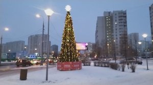 14.1.25 Москва, Южное Бутово