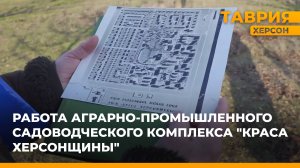 О работе аграрно-промышленного садоводческого комплекса "Краса Херсонщины"