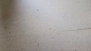 Квик дек люфт между панелями