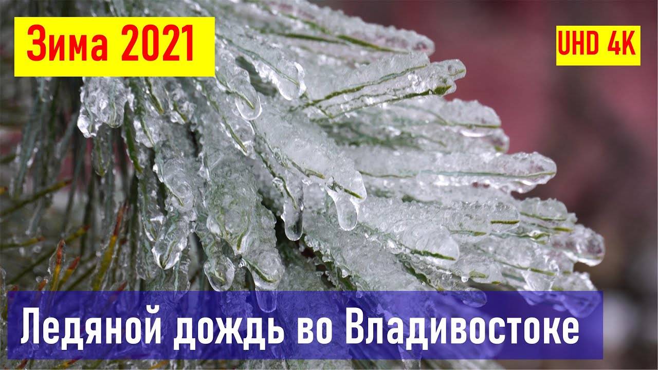 Ледяной дождь во Владивостоке, начало Зимы 2021 (снежный коллапс, катастрофа, обрыв проводов)