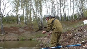 МОЩНАЯ ПОКЛЁВКА САЗАНА НА РЕЗИНКУ.РЫБАЛКА В СЕРЕДИНЕ МАЯ.