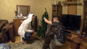 Влог Новогоднего Настроения! Всех с Наступающим друзья!