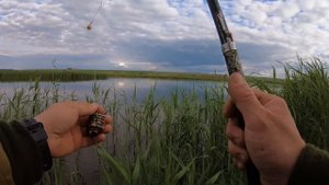 РЫБАЛКА 22 ИЮНЯ НА ДОНКИ.