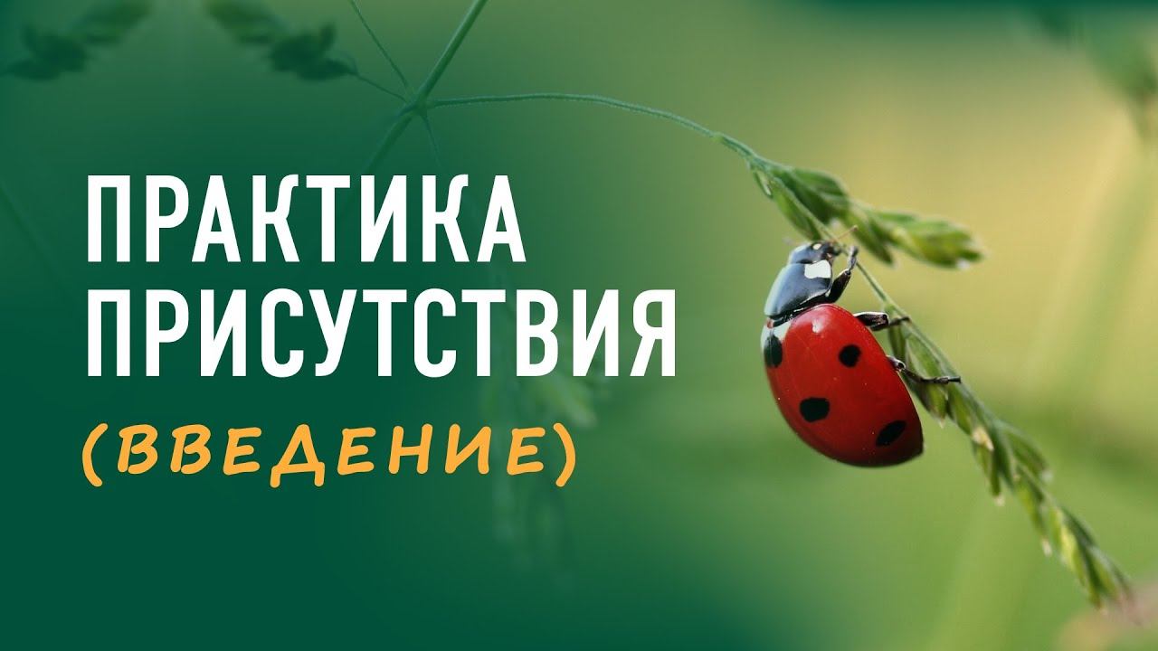 Практика присутствия