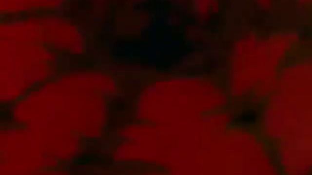 Cell Absorbs Goku Extended смотреть онлайн