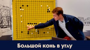 Большой конь в углу. Уроки Го Алексея Кожункова