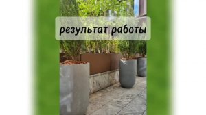 Озеленение терассы в ЖК Ордынка