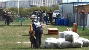 Мондьоринг Подольск