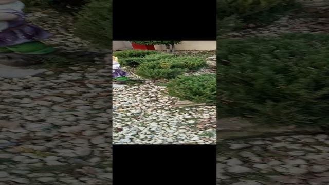 VID_20250102_093451