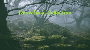 Drumfunk Collection. Drumfunk МУЗЫКА.