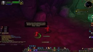 WoW Circle 8.3.7 x5  41-50 lvl druid