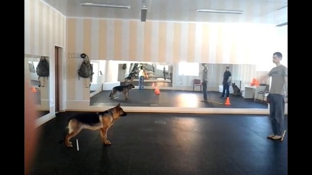 Blizza aus Schtorm ( 13 mon.) смотреть онлайн