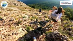 История одного магического утра.