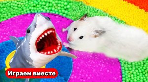Помогаем Хомяку выбраться из сложного лабиринта 🐹 Видео для детей
