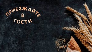 VID_20240113_024505_831.mp4