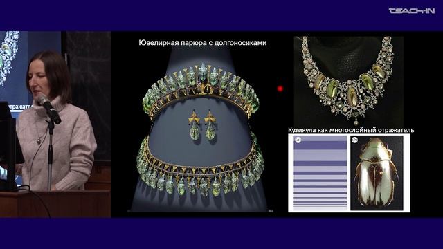 Богомолова Е.В. - Зоология беспозвоночных -22.Тип Arthropoda (Членистоногие): насекомые и многоножки
